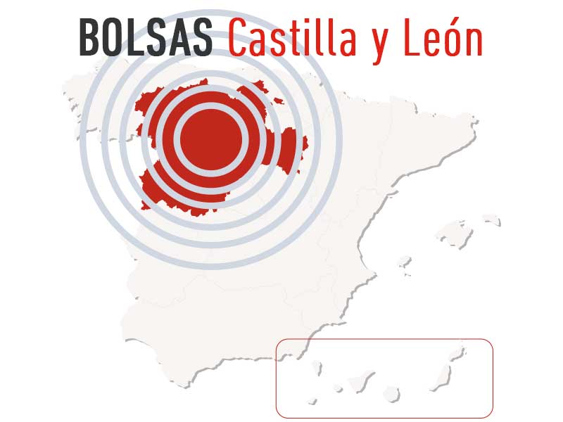 BOLSAS CASTILLA Y LEÓN: Profesorado y Catedráticos de Música y AAEE